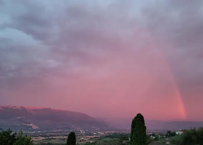 Dimora Del Falco ベッド・アンド・ブレックファスト